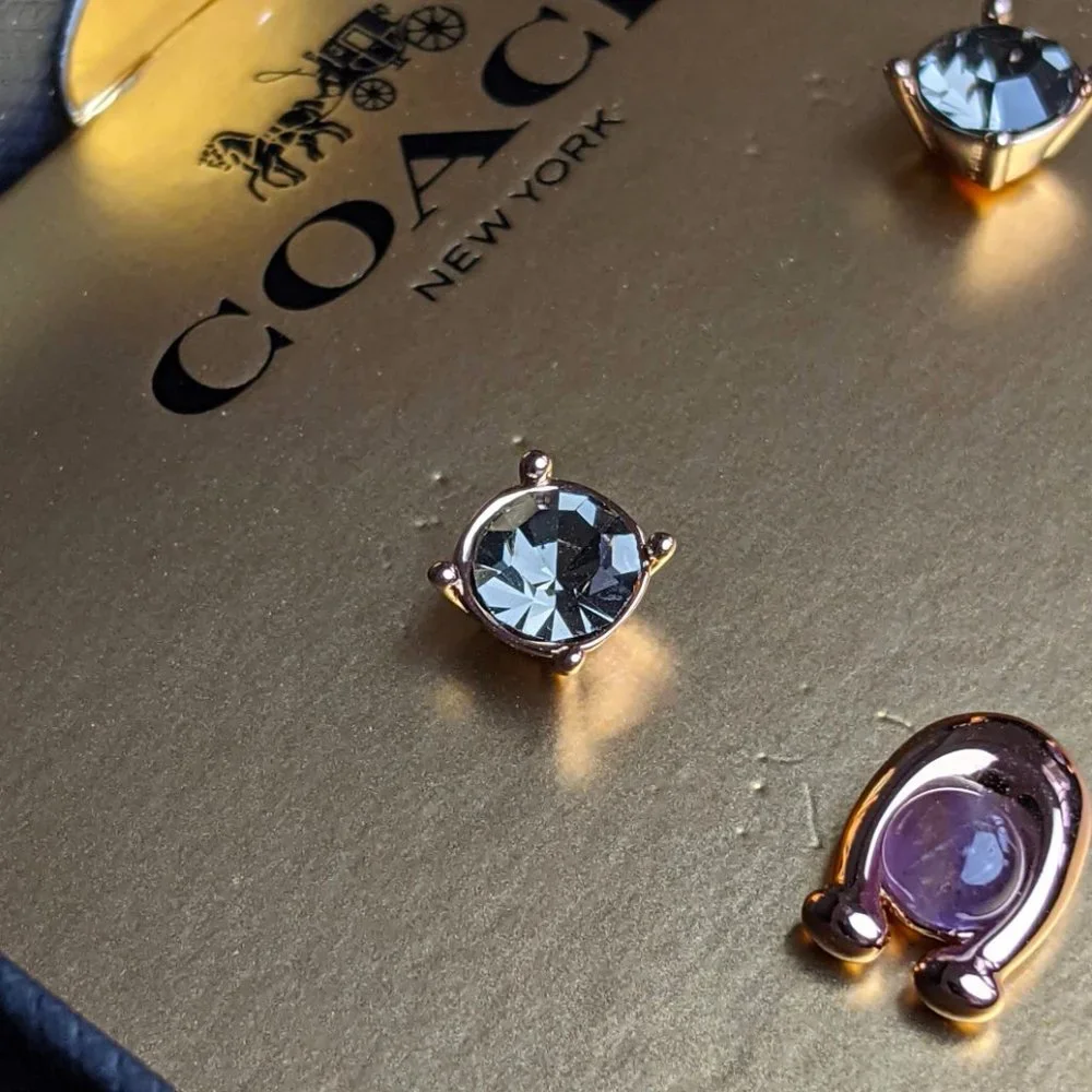 NWT COACH 376338 C-Stone Set of 2 Stud Earrings Amethyst